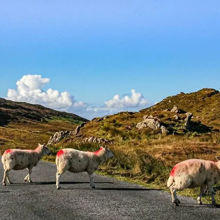 Διαμέρισμα Ocean View Penthouse, The Harbour Mill, *